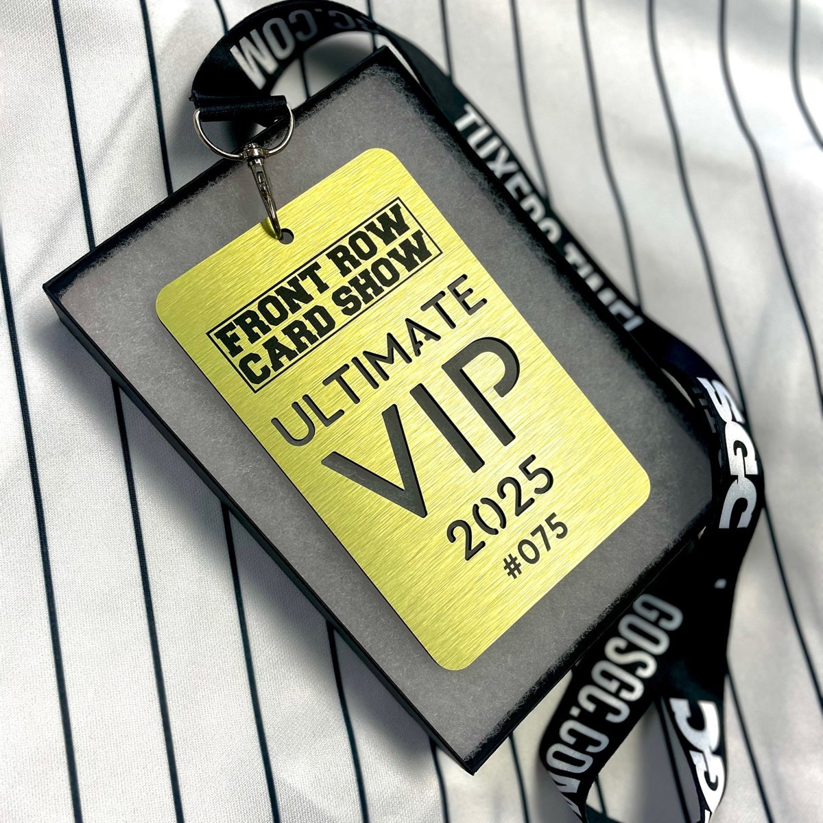 2025 ULTIMATE VIP PASS - Las Vegas, Pasadena, Phoenix, Seattle, Portland & San Diego